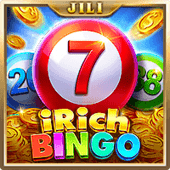 Bingo Irich bigboss